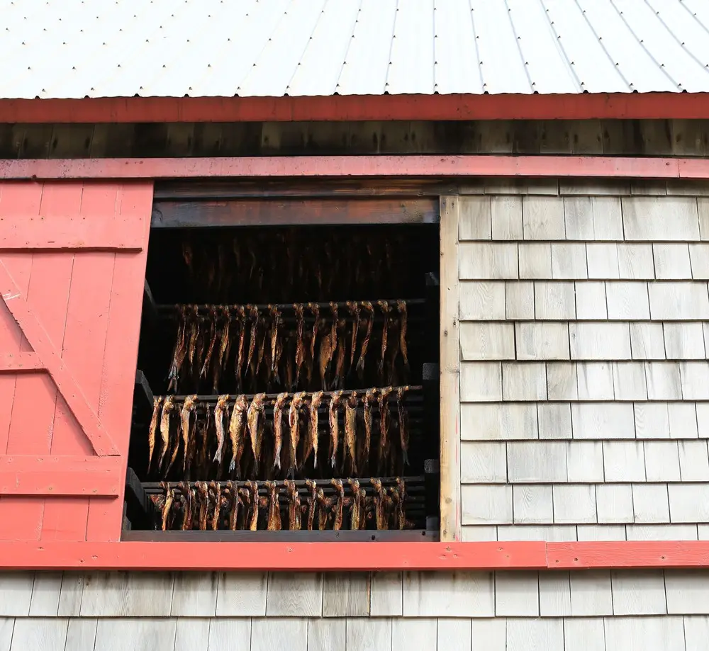 Smoked fish hanging from rafters